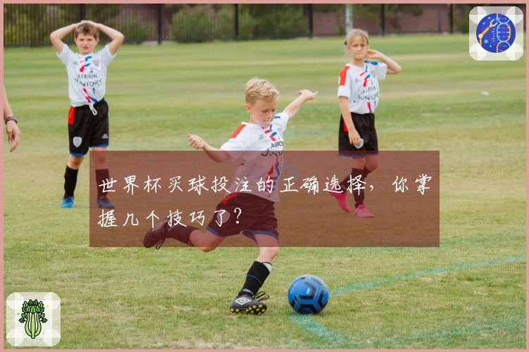 世界杯买球投注的正确选择，你掌握几个技巧了？
