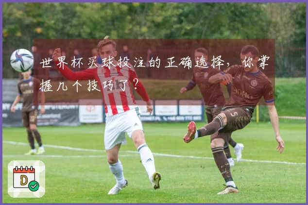 世界杯买球投注的正确选择，你掌握几个技巧了？
