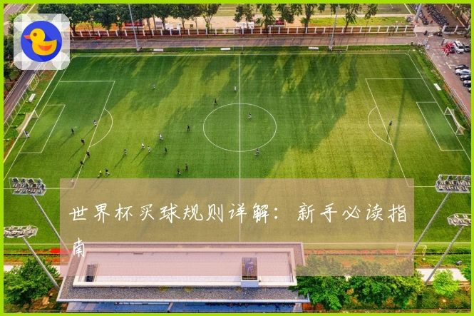 世界杯买球规则详解：新手必读指南