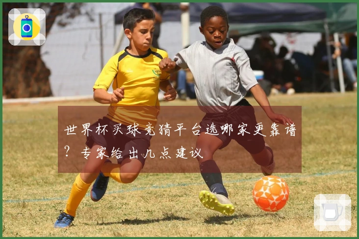 世界杯买球竞猜平台选哪家更靠谱？专家给出几点建议