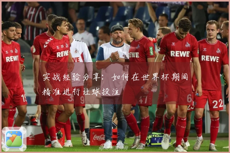 实战经验分享：如何在世界杯期间精准进行让球投注