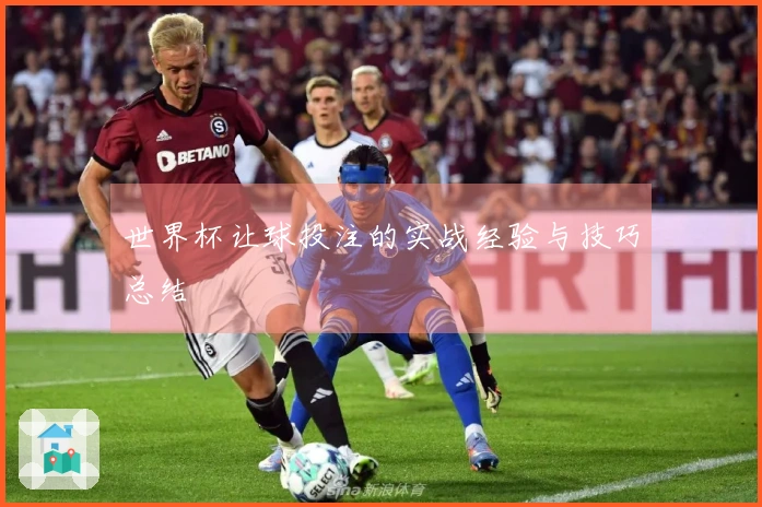 世界杯让球投注的实战经验与技巧总结
