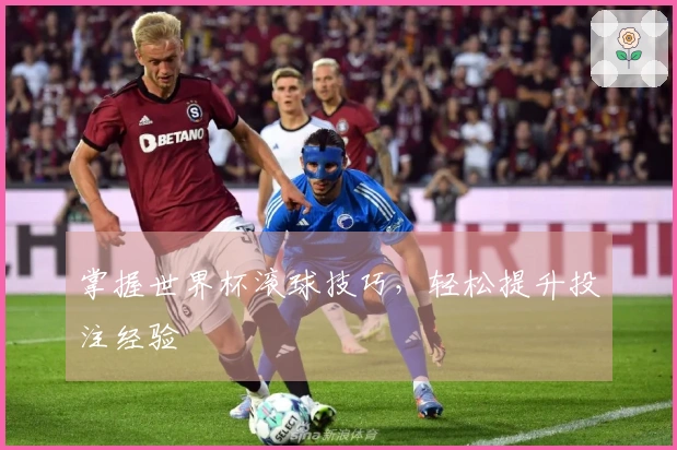 掌握世界杯滚球技巧，轻松提升投注经验
