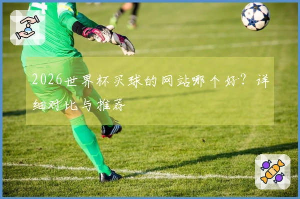 2026世界杯买球的网站哪个好？详细对比与推荐