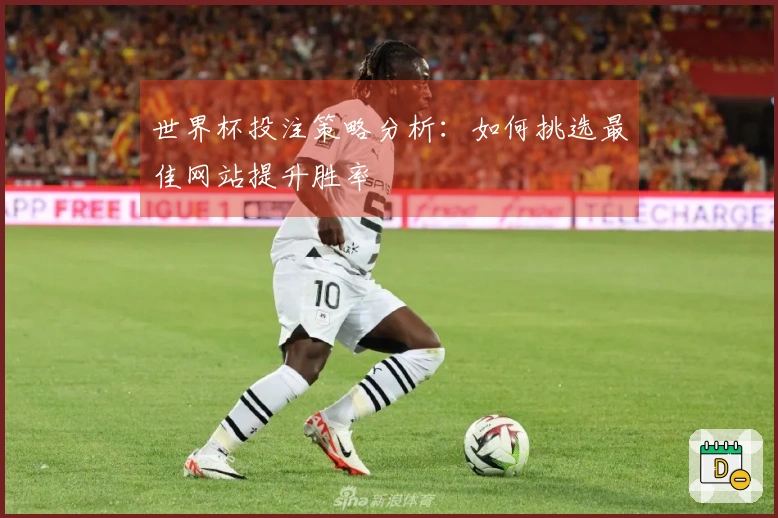 世界杯投注策略分析：如何挑选最佳网站提升胜率