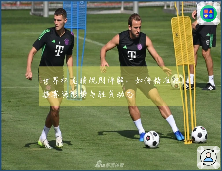 世界杯竞猜规则详解，如何精准把握赛场形势与胜负动态