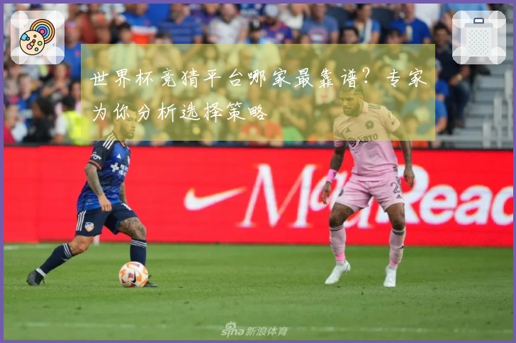 世界杯竞猜平台哪家最靠谱？专家为你分析选择策略