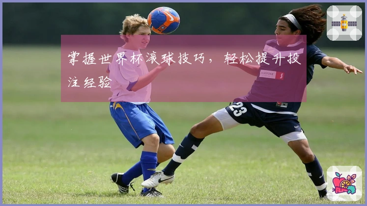 掌握世界杯滚球技巧，轻松提升投注经验